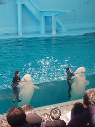 横浜・八景島シーパラダイスに投稿された画像(2026/1/7)