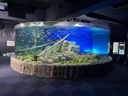 サケのふるさと 千歳水族館に投稿された画像(2026/1/8)