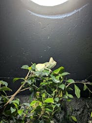 サケのふるさと 千歳水族館に投稿された画像(2026/1/9)