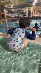 スパリゾートハワイアンズに投稿された画像(2026/1/9)