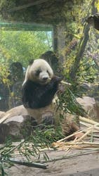 恩賜上野動物園に投稿された画像(2026/1/9)