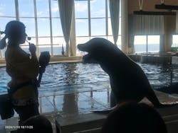 アクアワールド茨城県大洗水族館に投稿された画像(2026/1/10)