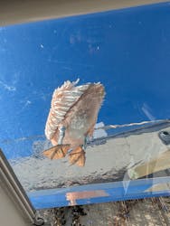 サンシャイン水族館に投稿された画像(2026/1/10)