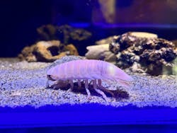 竹島水族館に投稿された画像(2026/1/10)