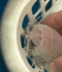 竹島水族館に投稿された画像(2026/1/10)