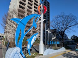 しながわ水族館に投稿された画像(2026/1/11)