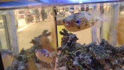 環境水族館アクアマリンふくしまに投稿された画像(2026/1/11)