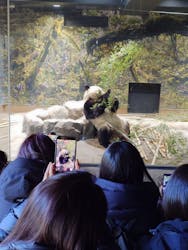 恩賜上野動物園に投稿された画像(2026/1/11)