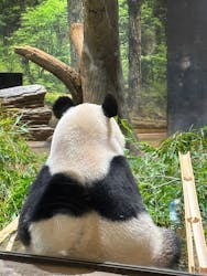 恩賜上野動物園に投稿された画像(2026/1/12)