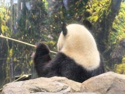 恩賜上野動物園に投稿された画像(2026/1/12)