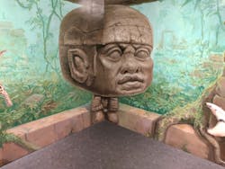 横浜トリックアート迷宮館に投稿された画像(2026/1/10)