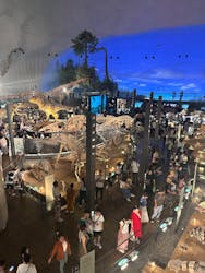 福井県立恐竜博物館に投稿された画像(2026/1/13)