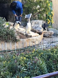 サンシャイン水族館に投稿された画像(2026/1/14)