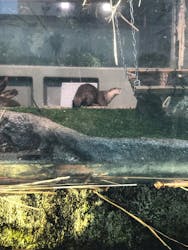 サンシャイン水族館に投稿された画像(2026/1/14)