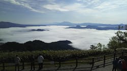 川平マリンサービスに投稿された画像(2026/1/15)