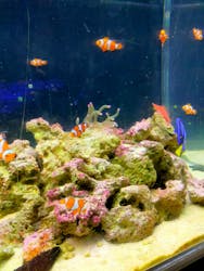 箱根園水族館に投稿された画像(2026/1/16)