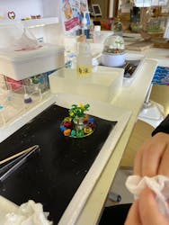 ガラスとアクセサリーのるり工房に投稿された画像(2026/1/17)