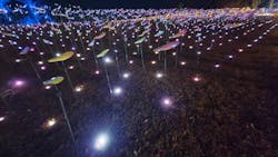 いばらきフラワーパークに投稿された画像(2026/1/18)