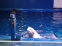 島根県立 しまね海洋館に投稿された画像(2026/1/19)