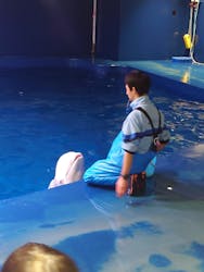 島根県立 しまね海洋館に投稿された画像(2026/1/19)