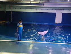 島根県立 しまね海洋館に投稿された画像(2026/1/19)