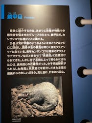 特別展「大哺乳類展3-わけてつなげて大行進」に投稿された画像(2026/1/22)