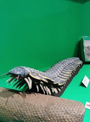 特別展「大絶滅展―生命史のビッグファイブ」に投稿された画像(2026/1/22)