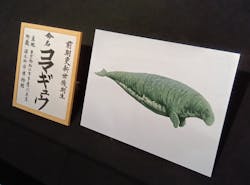特別展「大絶滅展―生命史のビッグファイブ」に投稿された画像(2026/1/22)