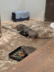 アニタッチみなとみらいに投稿された画像(2026/1/23)