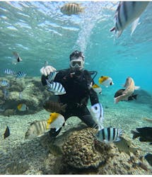 武藤潜水に投稿された画像(2026/1/23)