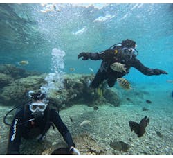 武藤潜水に投稿された画像(2026/1/23)