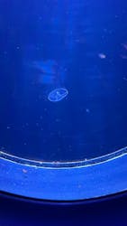 マリンワールド海の中道に投稿された画像(2026/1/23)