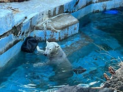 天王寺動物園に投稿された画像(2026/1/23)