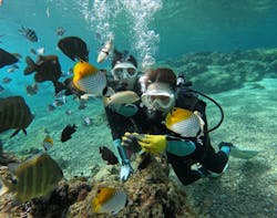 武藤潜水に投稿された画像(2026/1/24)