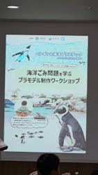 サンシャイン水族館に投稿された画像(2026/1/24)