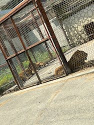 群馬サファリパークに投稿された画像(2026/1/24)