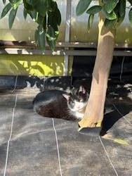 熱田農園Strawberry54に投稿された画像(2026/1/24)