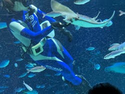 サンシャイン水族館に投稿された画像(2026/1/25)