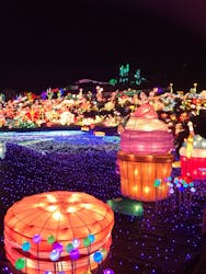 伊豆ぐらんぱる公園に投稿された画像(2026/1/25)