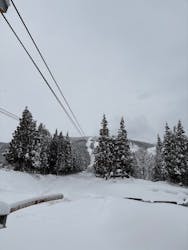 六日町八海山スキー場に投稿された画像(2026/1/26)