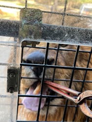 群馬サファリパークに投稿された画像(2026/1/26)