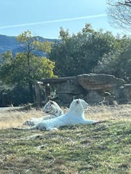 群馬サファリパークに投稿された画像(2026/1/26)