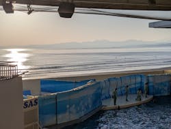 新江ノ島水族館に投稿された画像(2026/1/27)