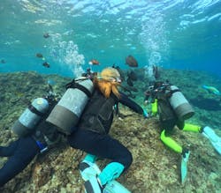 武藤潜水に投稿された画像(2026/1/30)