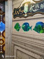 西武園ゆうえんちに投稿された画像(2026/1/31)