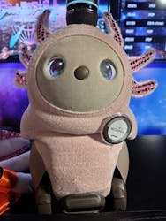 ひらかたパークに投稿された画像(2026/1/31)