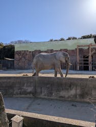 東武動物公園に投稿された画像(2026/1/31)