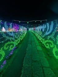 つま恋イルミネーションに投稿された画像(2026/1/31)