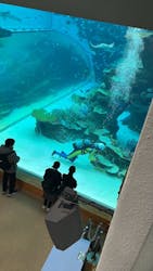 名古屋港水族館に投稿された画像(2026/2/1)