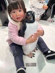 名古屋港水族館に投稿された画像(2026/2/1)